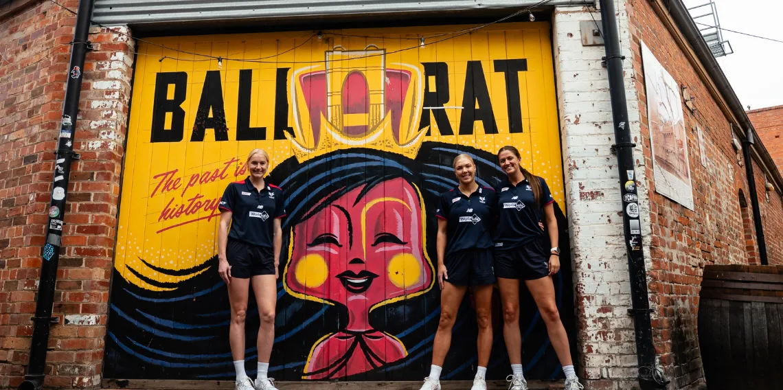 Web story tile Vixens 1140x568 3